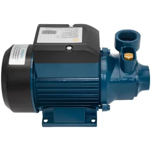 Bomba D'agua Periférica 1/2cv BP60 110v Lepono